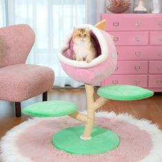 a cat sitting in a pink and green ball shaped tree house on top of a rug