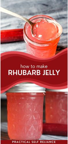 how to make rhubarb jelly with practical self reliance for the whole family