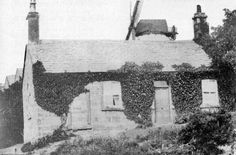 an old house with ivy growing on the roof