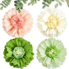 four different colored flowers with green leaves on the top and one pink flower in the middle