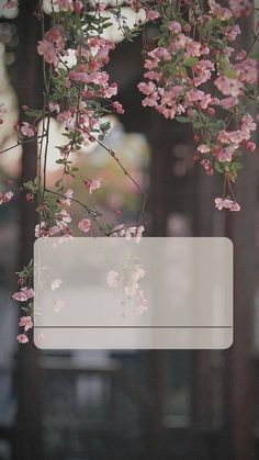 pink flowers are hanging from a branch in front of a glass door with a sign on it