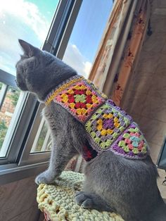 a gray cat wearing a crocheted sweater looking out the window at the outside