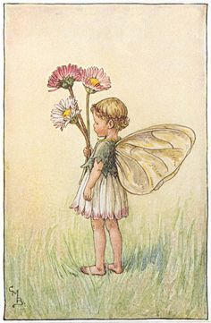 Flower Fairies Cicely Mary Barker, Daisy Fairy, Fairy Drawings, Nature Art Prints