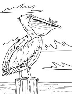 a black and white drawing of a pelican sitting on top of a post