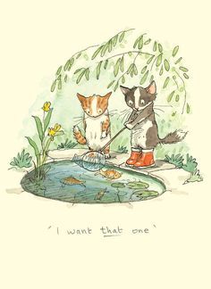 two cats standing next to each other in front of a pond with plants and flowers