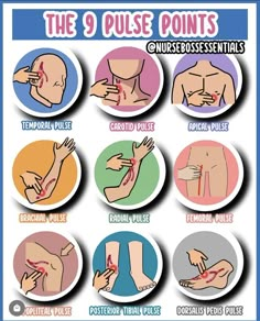 the 9 pulse points on a poster with instructions to help you get ready for surgery