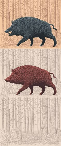 three different types of wild boars are shown in this graphic art printable version