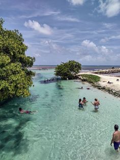 people are swimming in the clear blue water near trees and sand on an island with white sand