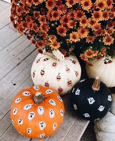 pumpkins and flowers are sitting on the porch