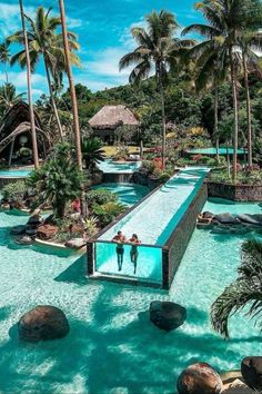 people are swimming in the pool surrounded by palm trees