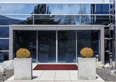 two cement planters sitting in front of a glass building with red carpet on the ground