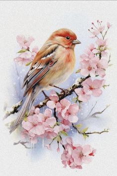 a bird sitting on top of a branch with pink flowers