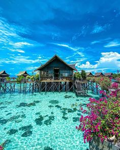 the water is crystal blue and clear with pink flowers in front of a dock house