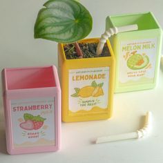 three different colored boxes with toothbrushes in them and a green leaf on top