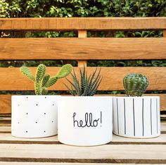 three potted plants sitting on top of a wooden bench