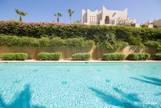 an empty swimming pool in front of a large white building with pink flowers on it