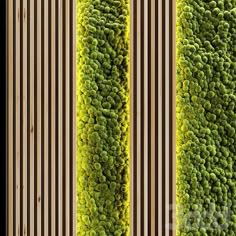 an aerial view of two rows of green plants