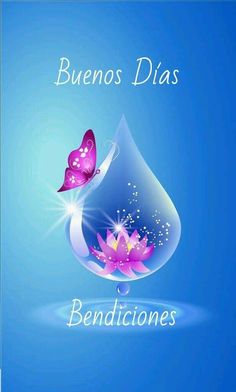 a blue background with pink flowers and two butterflies on it's side, the caption reads benios dias bendicies