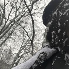 a person standing in the snow with their face covered by some white stuff and trees behind them