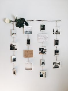 a bunch of pictures hanging on a wall with some flowers in the middle and photos attached to them