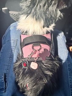 a dog wearing a pink and black harness with its paw on it's back