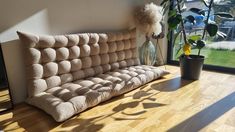 a couch sitting in front of a window next to a potted plant on top of a hard wood floor