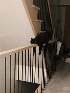 a black cat climbing up the side of a stair case next to a banister