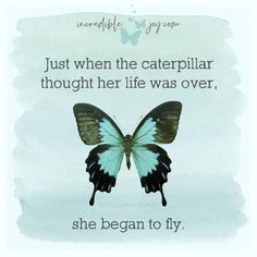 a butterfly with a quote on it that says, just when the caterpillar thought her life was over, she begun to fly