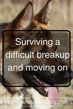 a dog with its tongue out and the words surviving a difficult break up and moving on