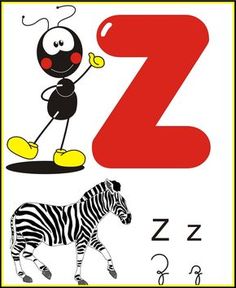 the letter z is for zebra