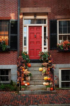 a red door with black shutters and pumpkins on the steps