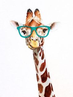 a giraffe with glasses on it's head