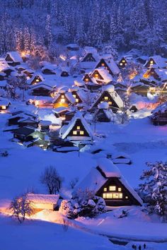 a snowy village with lots of houses lit up at night