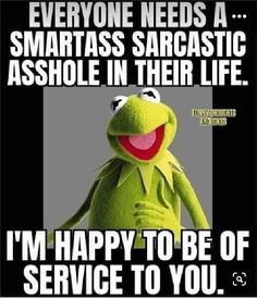 kermie the frog saying everyone needs a smartass sarcastic ashole in their life i'm happy to be of service to you