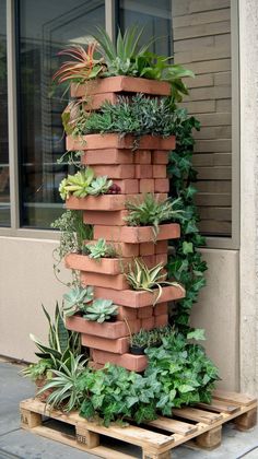 a very tall planter filled with lots of succulents and other plants