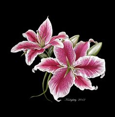 three pink flowers with green stems on a black background, one is blooming and the other is wilting