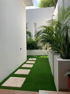 a white house with green grass and stepping stones in the front yard, next to a potted palm tree