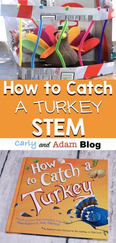 Turkey Trap, November Stem, Thanksgiving Stem Activities, Thanksgiving Stem, Thanksgiving Kindergarten, Thanksgiving School, Thanksgiving Classroom