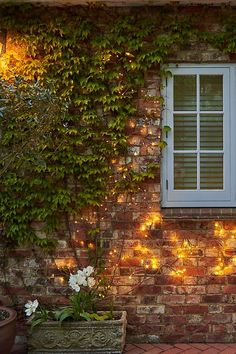 a brick wall with lights on it and potted plants in the foreground, next to an open window