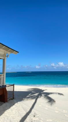 a white gazebo on the beach with a palm tree in front of it and blue water behind it