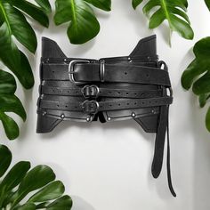 a black leather belt with metal buckles on it and some green leaves in the background