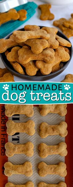 homemade dog treats are on display in front of the camera, with text overlay that reads homemade dog treats