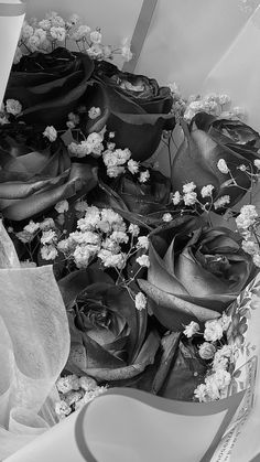 black and white photograph of roses in a box with ribbon tied around the edges, surrounded by other flowers