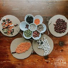 four bowls filled with different types of beans on top of paper plates next to each other