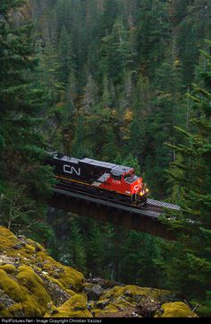 a train traveling over a bridge in the middle of a forest with lots of trees