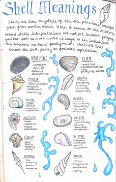 Shell Meaning, Water Witch, Art Coquillage, Wiccan Spell Book, Magick Book