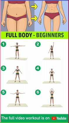 the full body workout for beginners is shown in this graphic diagram, which shows how to