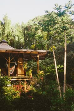 a small wooden cabin surrounded by trees in the woods with hammocks hanging from it's roof