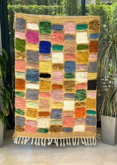 a multicolored rug with tassels and fringe on the floor next to potted plants