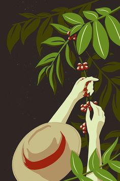 a woman reaching for berries from a tree